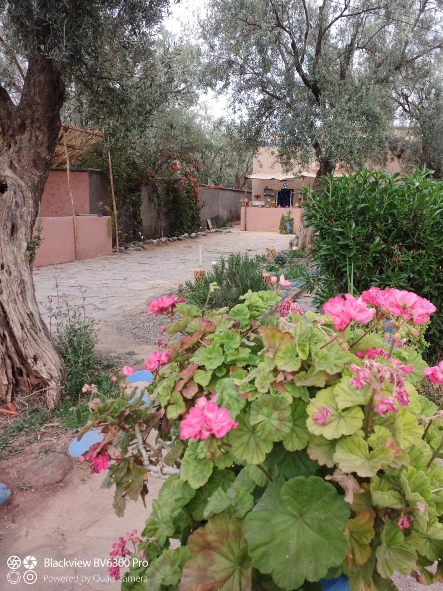 Les Delices D Aya Apartment Tahanaout Luaran gambar